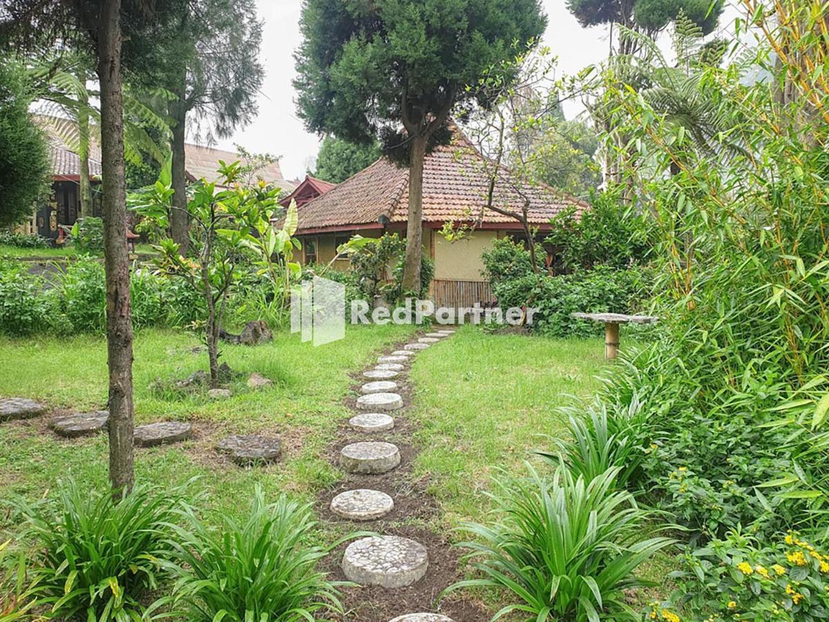 Hotel Yoschi'S Bromo At Desa Wisata Bromo Ngadisari Экстерьер фото